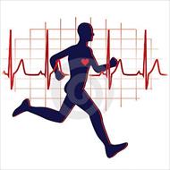 رابطه ورزش با اندامهاي داخلي بدن و بهداشت و عوامل تهديد كننده قلبي- عروقي