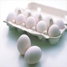 طرح توجیهی بسته بندی و توزيع تخم مرغ