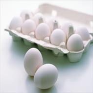 پروژه کارآفرینی بسته بندی و توزیع تخم مرغ